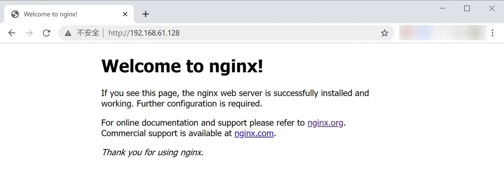离线安装 Nginx 的欢迎页面