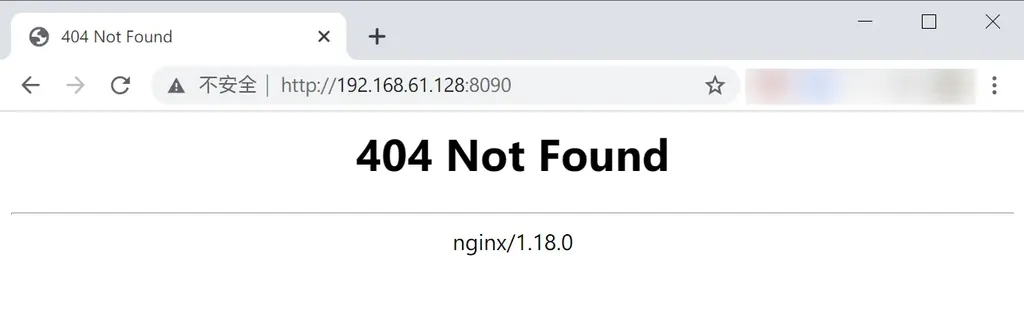 在线安装 Nginx 后的 404 页面