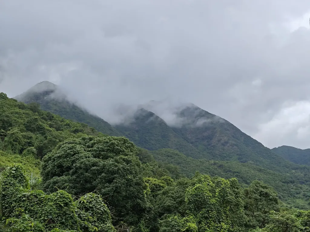 山脚仰视