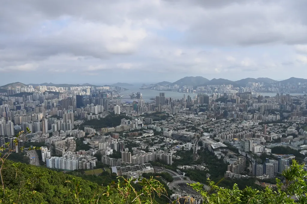 俯瞰九龙区