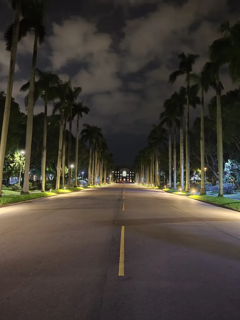 国立台湾大学椰林大道