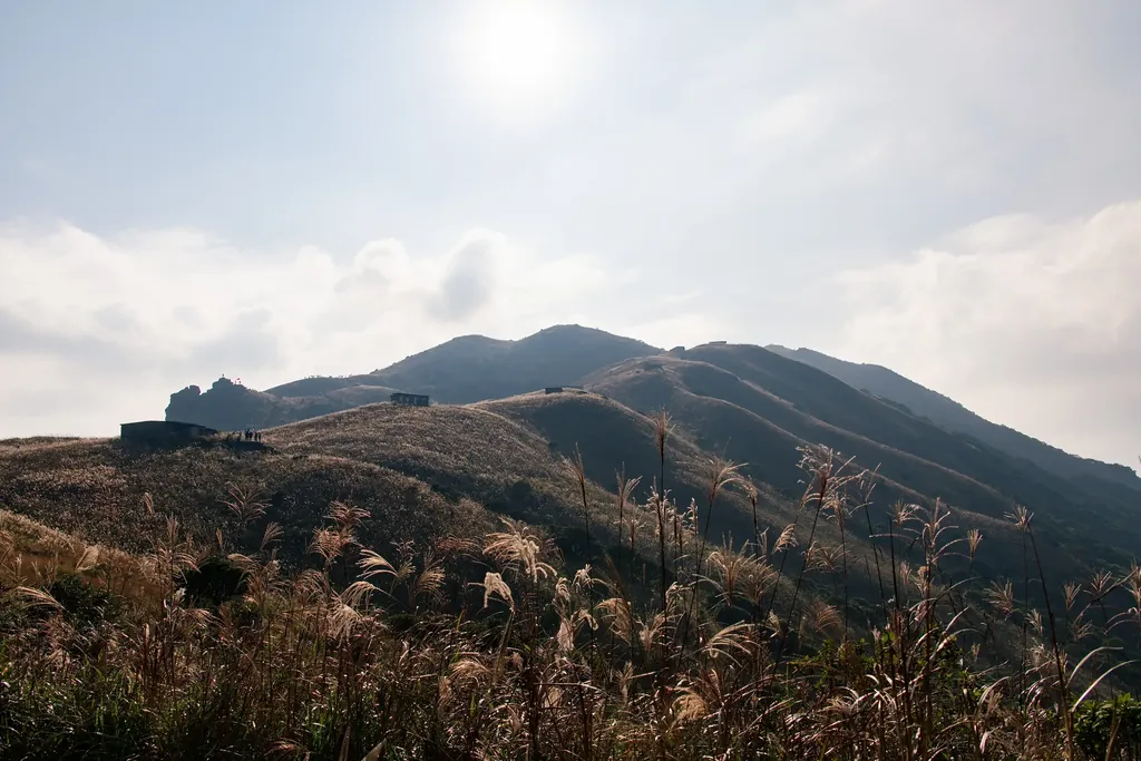 金色肌理山坡