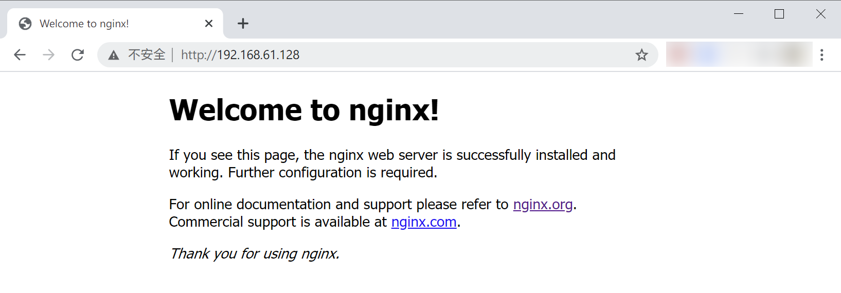 离线安装 Nginx 的欢迎页面
