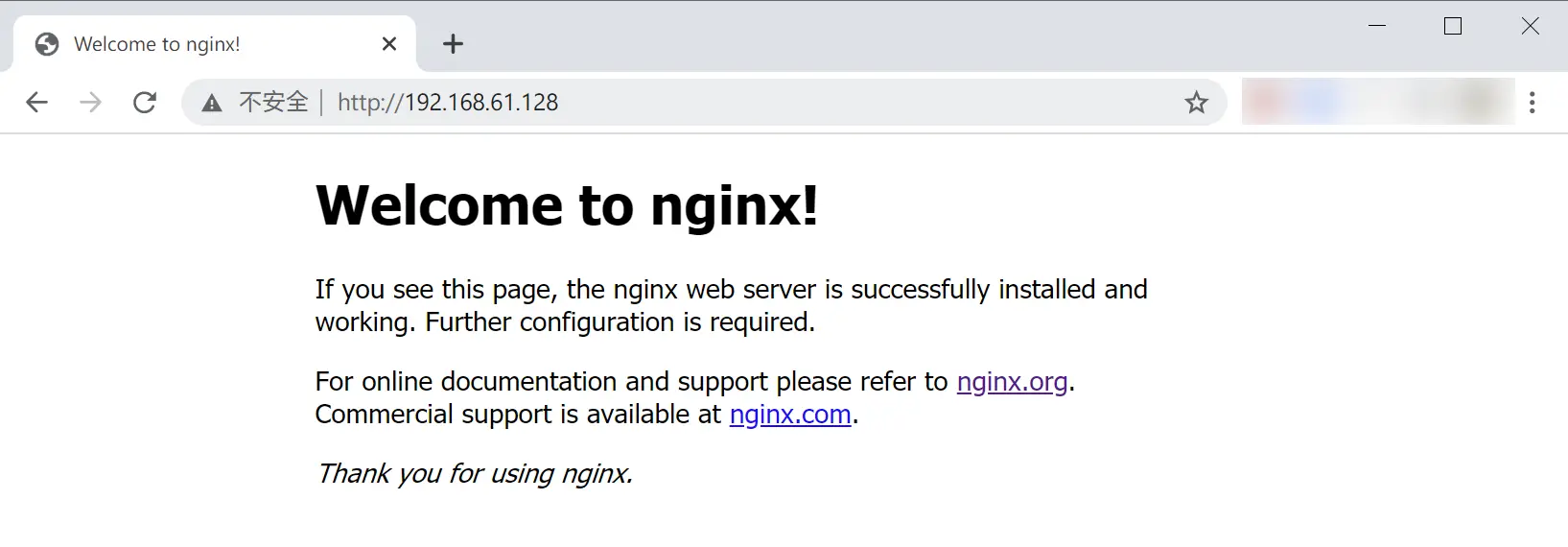 离线安装 Nginx 的欢迎页面