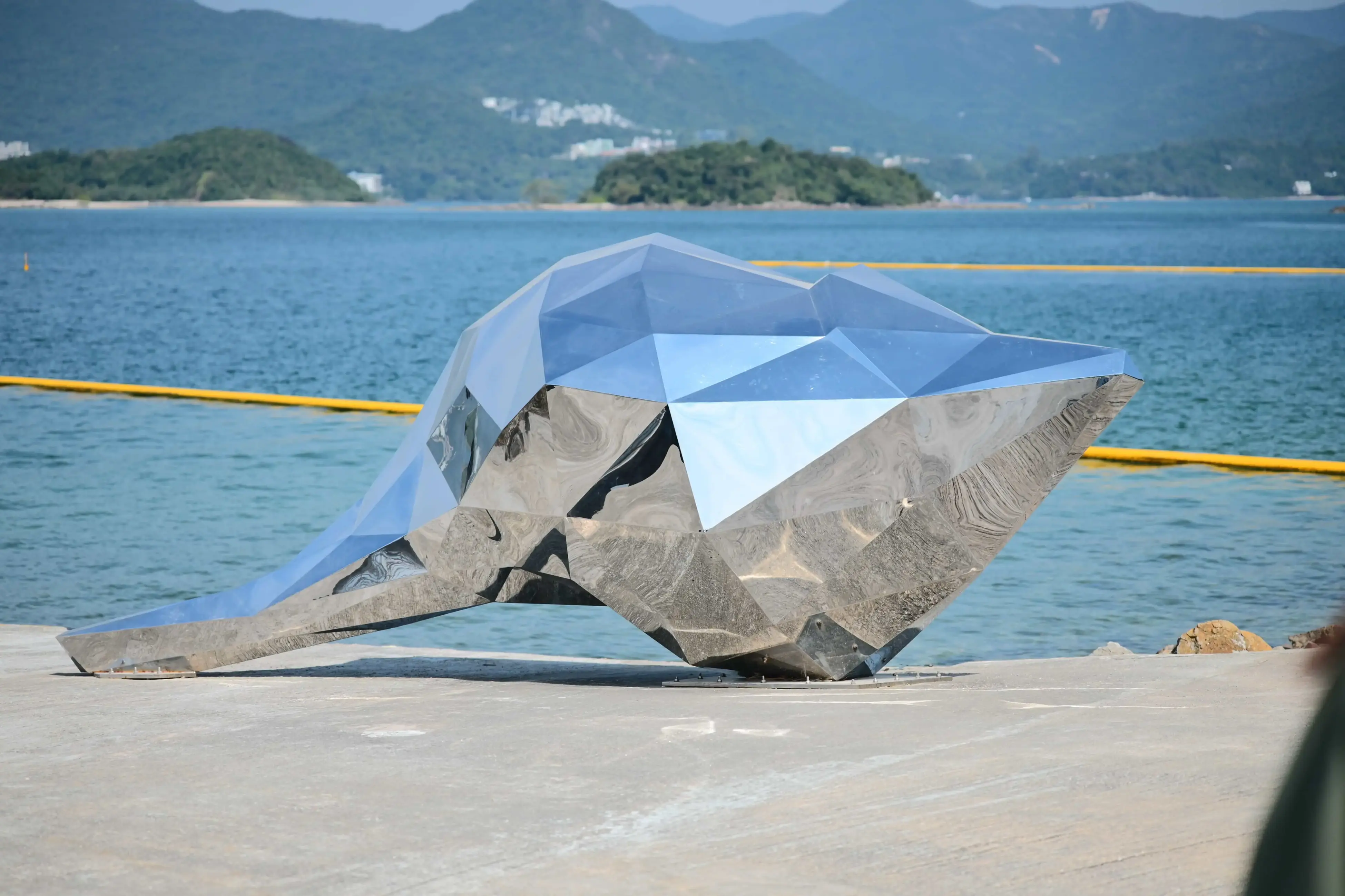 “你为什么不问问神奇海螺呢”