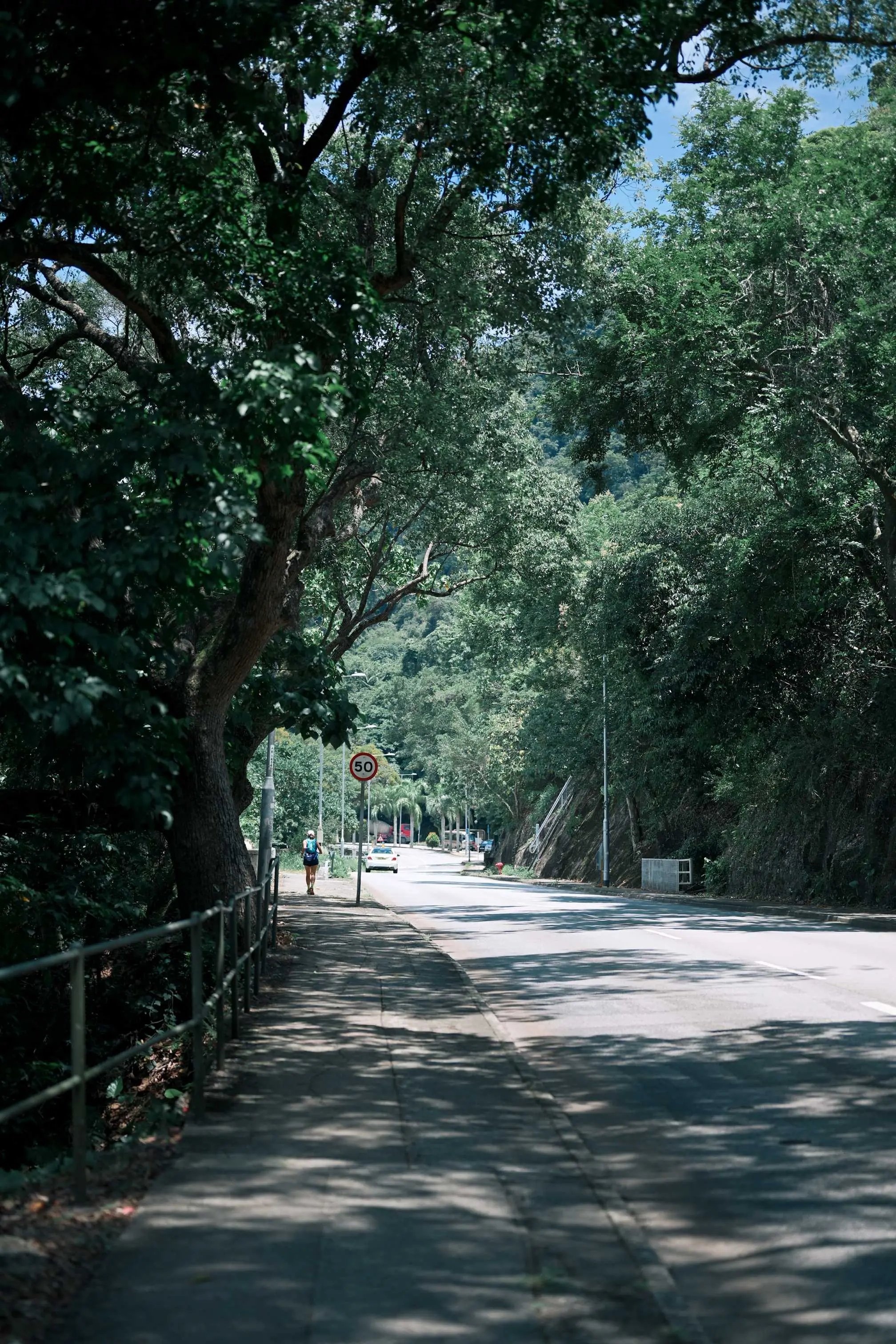 行程开始时艳阳高照，图片添加了尼康云创芒果小明滤镜