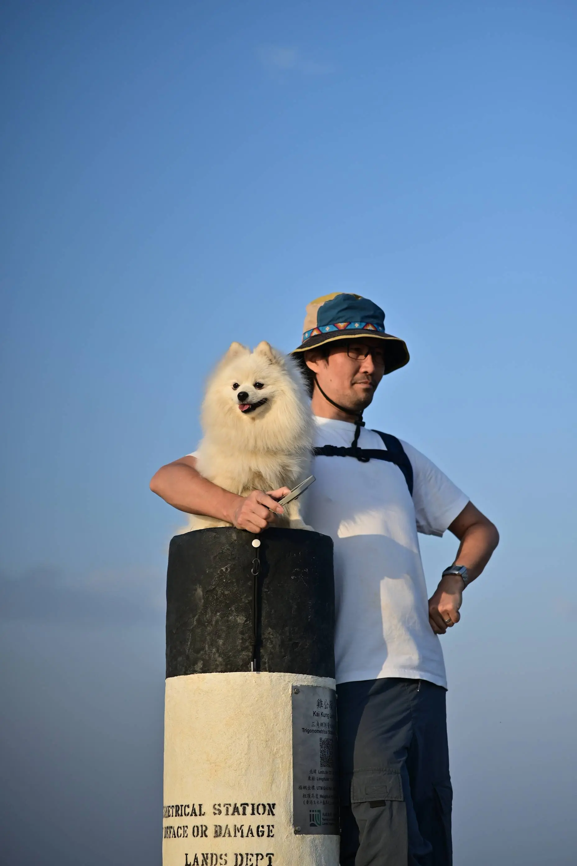 路人与精神小狗