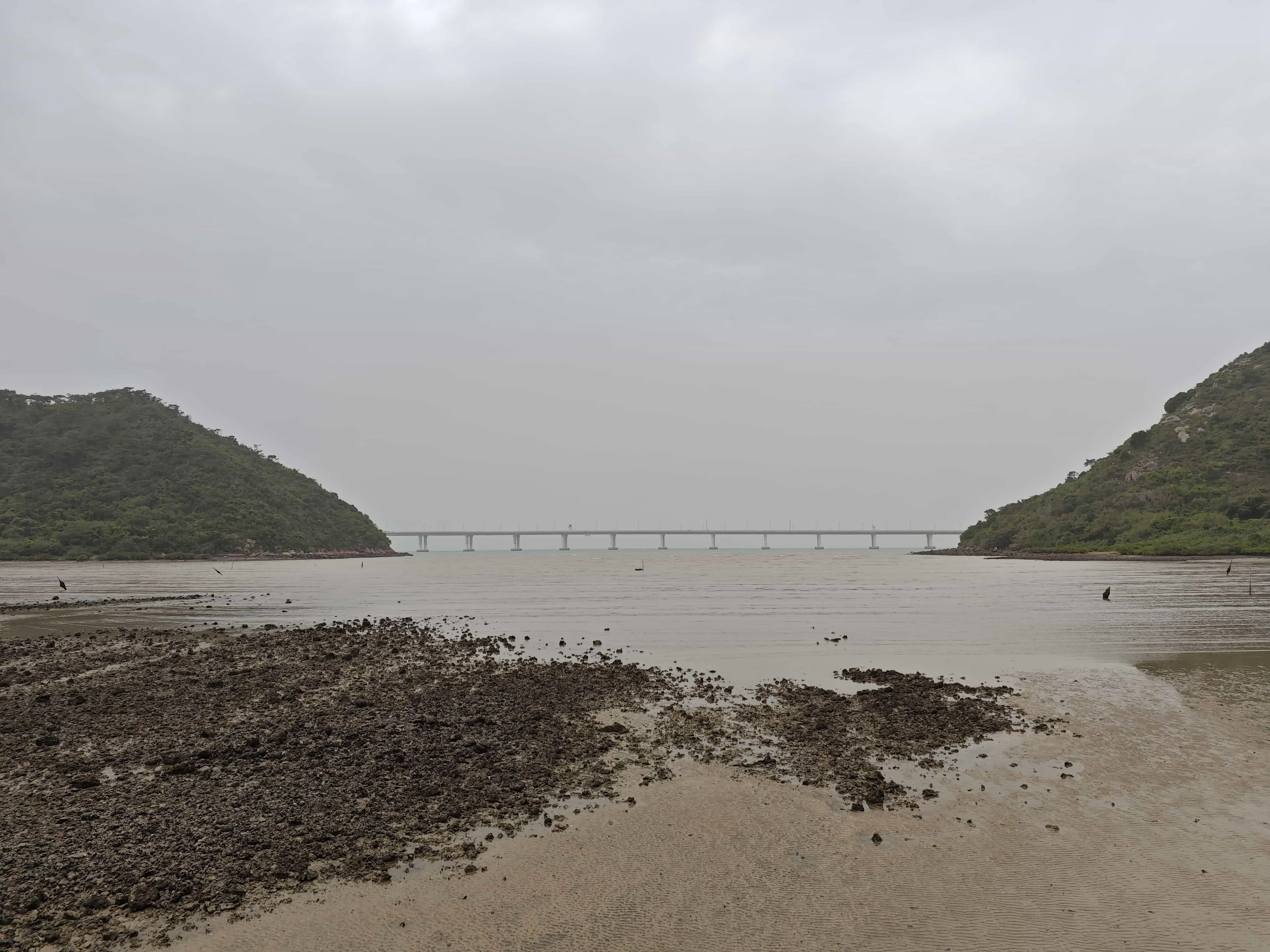 滩涂遥望港珠澳大桥