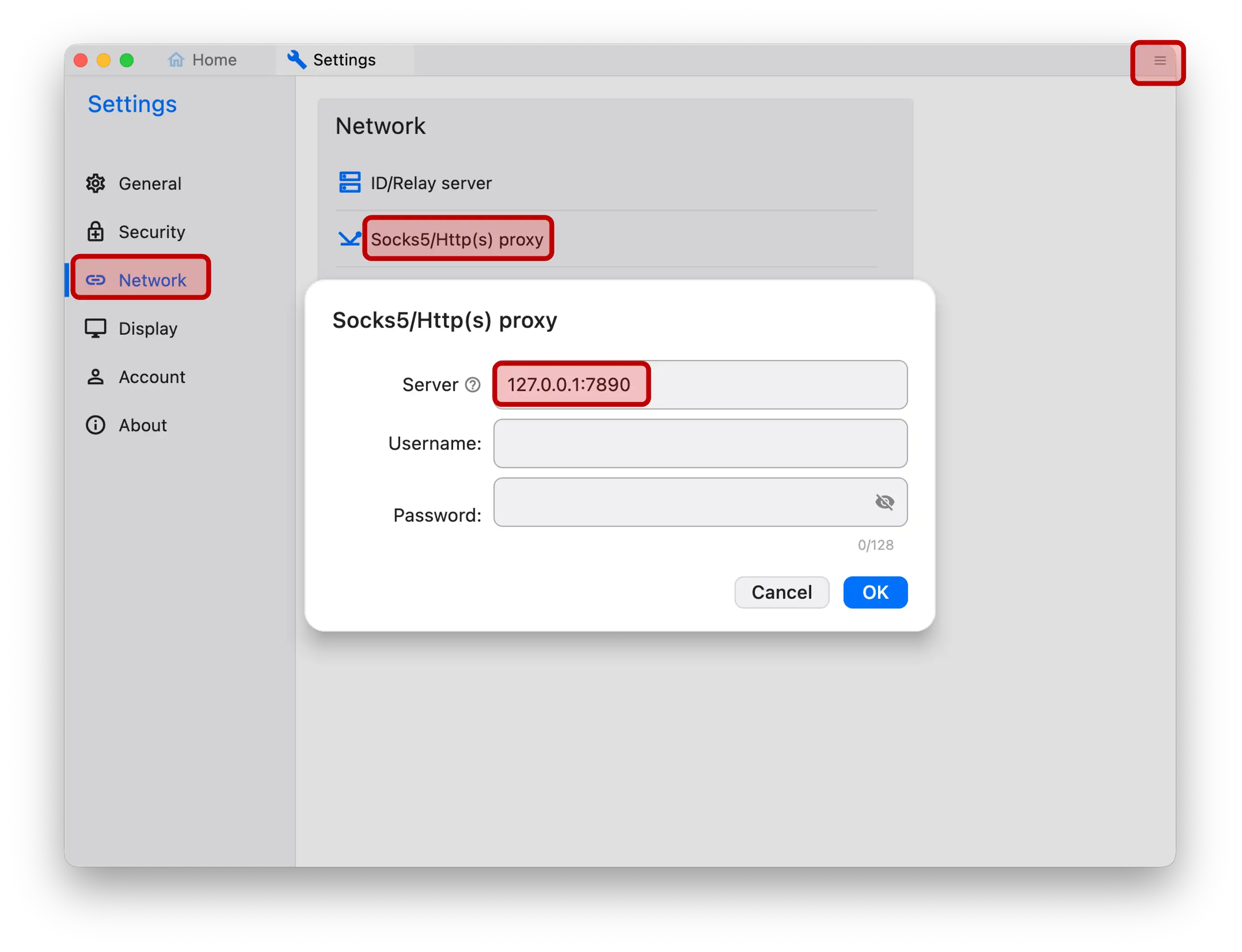 RustDesk 代理设置界面