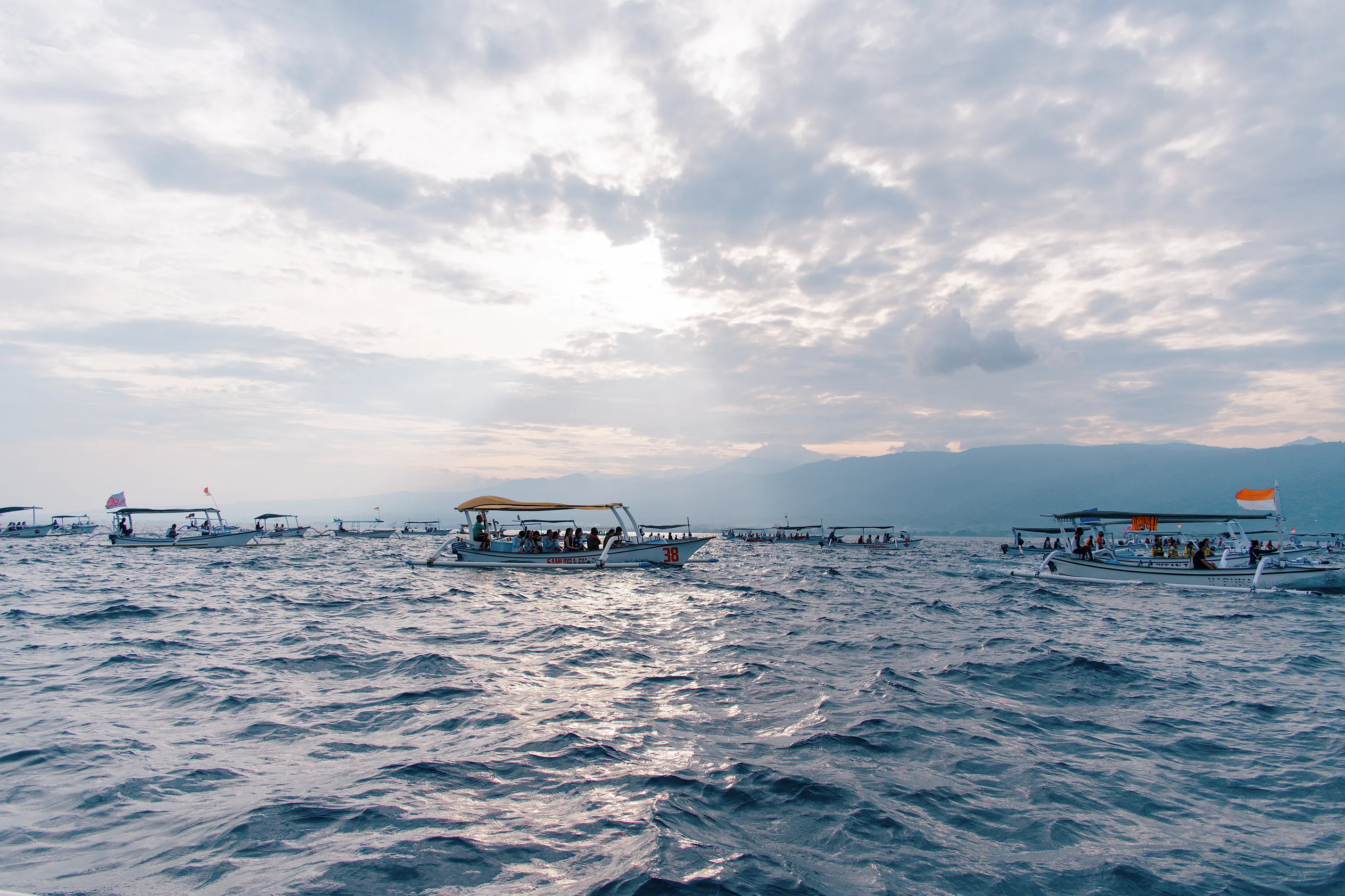 酷似水黾的追海豚大军