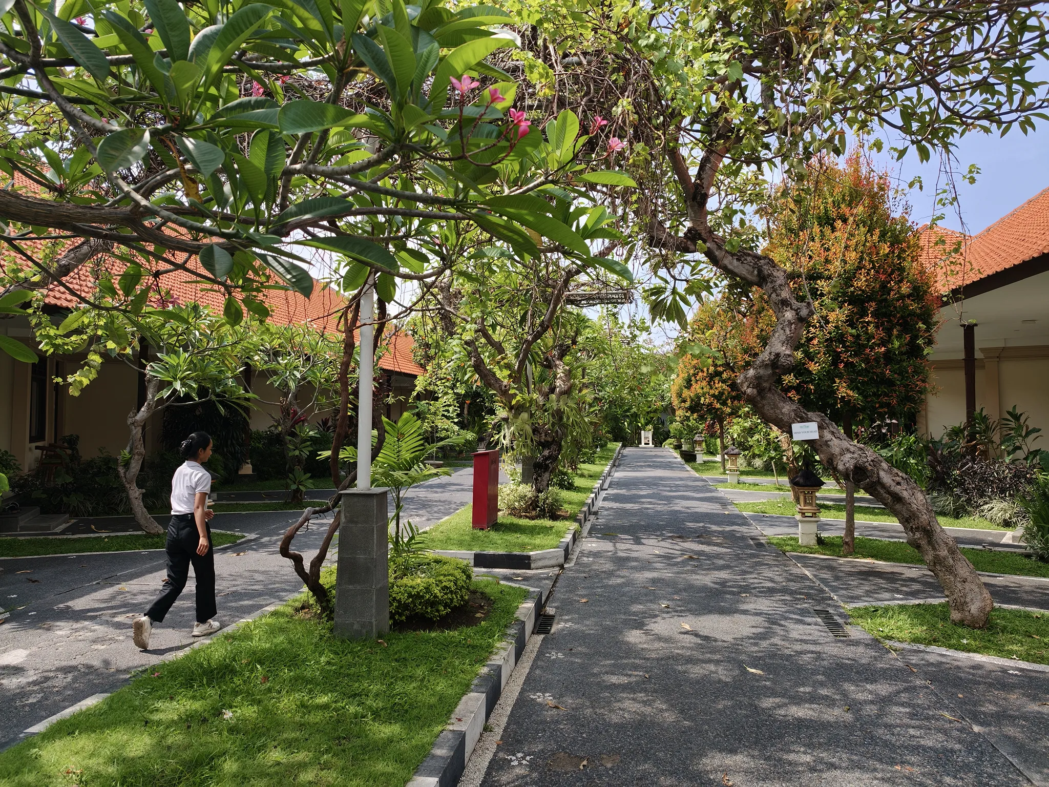 New Sunari Lovina Beach Resort 酒店环境