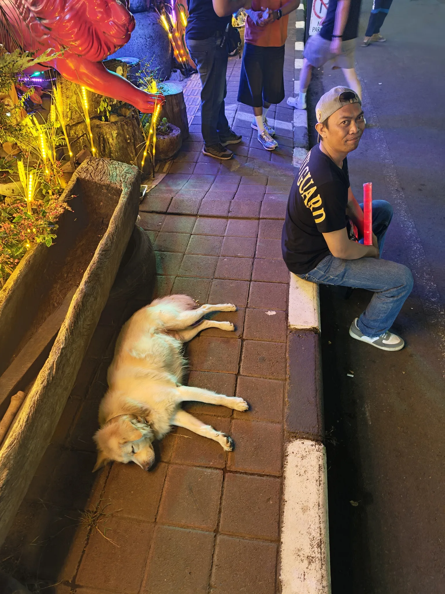 狗子在热闹的街头熟睡