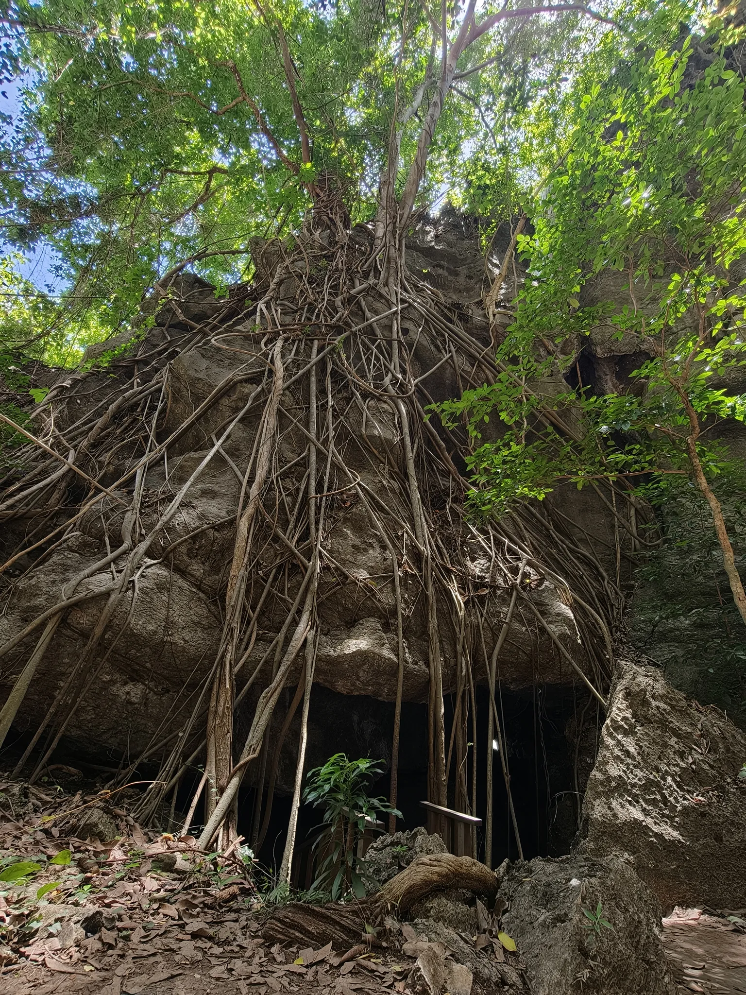 Mirror Stone Cave（见过喀斯特地貌的话，就不用来这里了……）