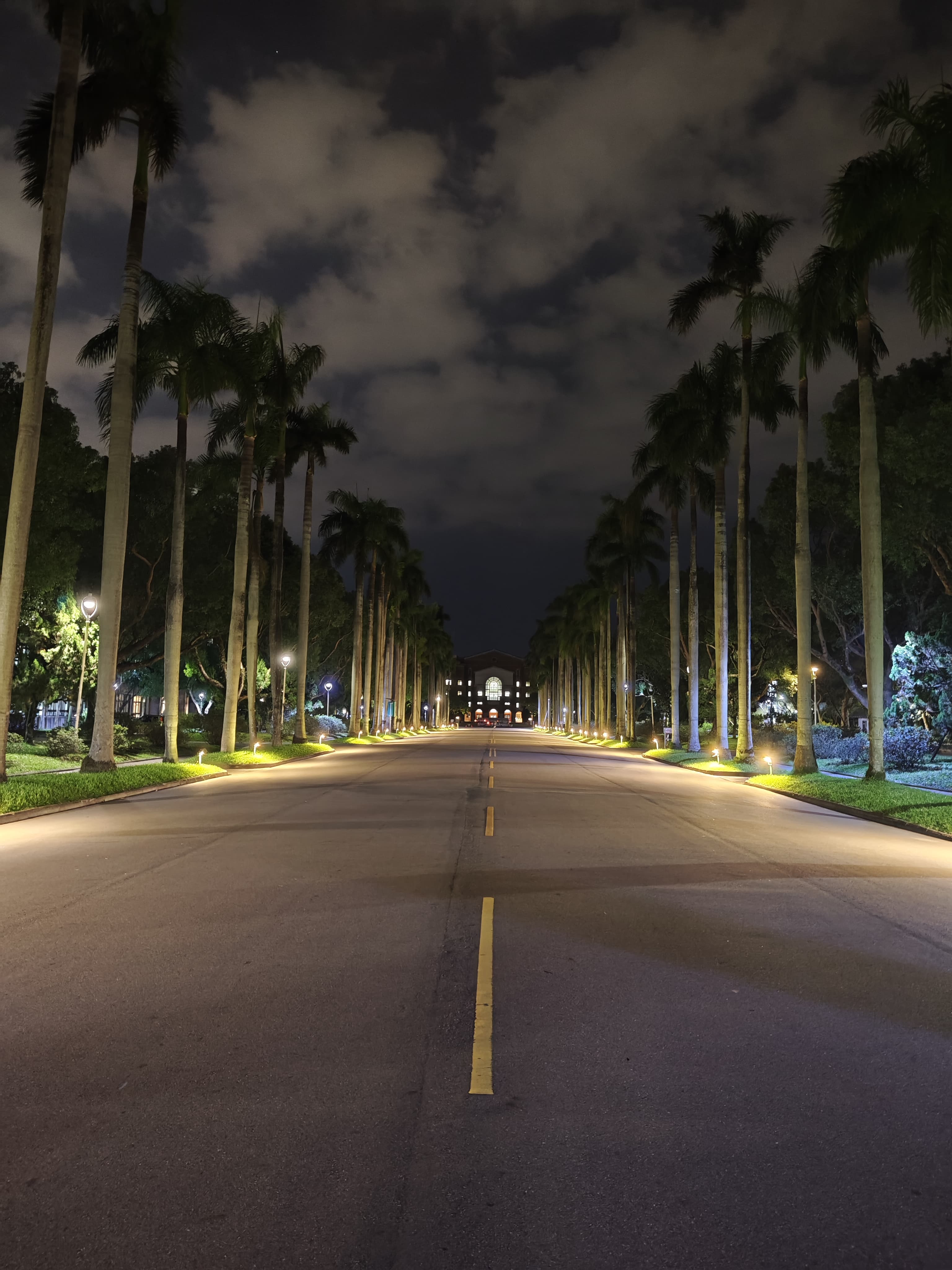 国立台湾大学椰林大道