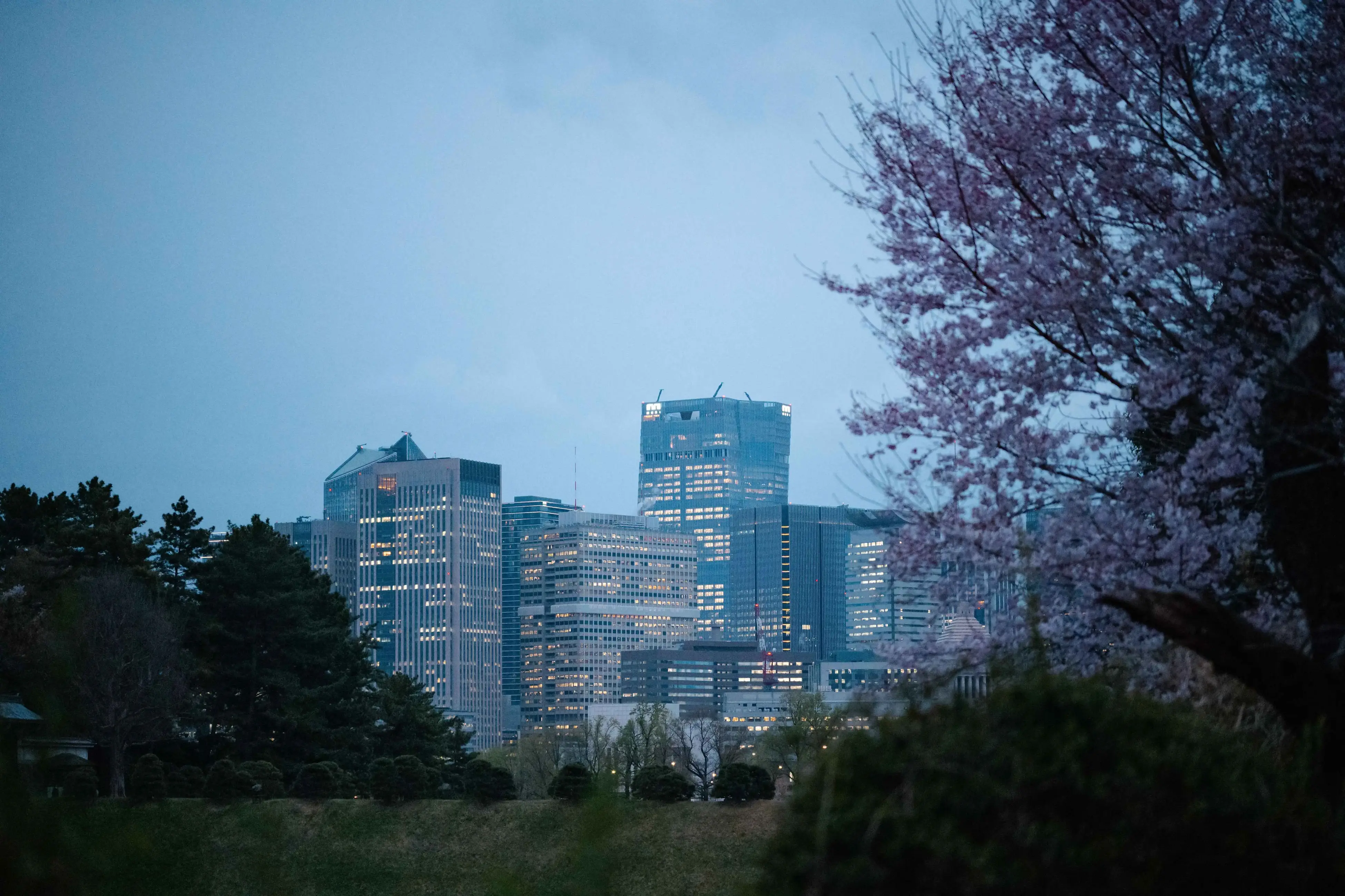 远眺远处建筑群