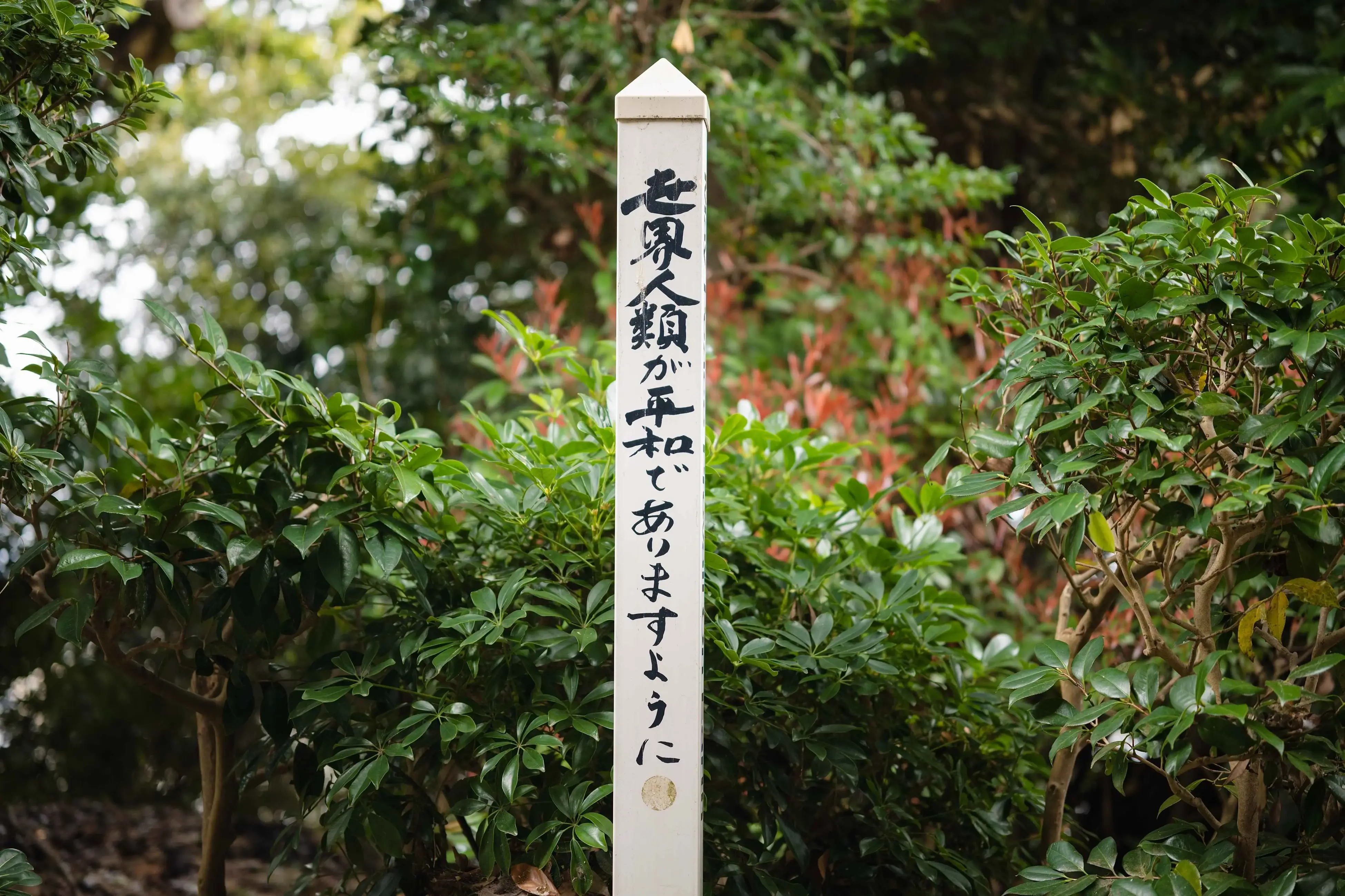 江岛神社内的反战标语(愿世界上所有人类都能和平相处)
